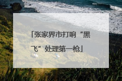 张家界市打响“黑飞”处理第一枪