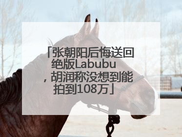 张朝阳后悔送回绝版Labubu，胡润称没想到能拍到108万