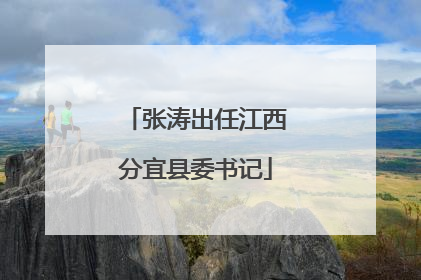 张涛出任江西分宜县委书记