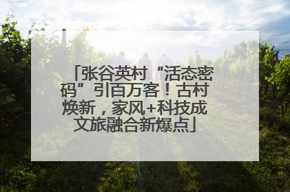张谷英村“活态密码”引百万客！古村焕新，家风+科技成文旅融合新爆点