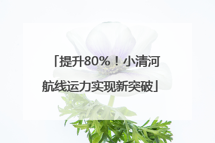 提升80％！小清河航线运力实现新突破