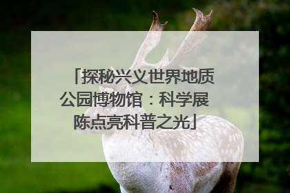 探秘兴义世界地质公园博物馆：科学展陈点亮科普之光