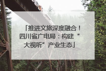 推进文旅深度融合！四川省广电局：构建“大视听”产业生态