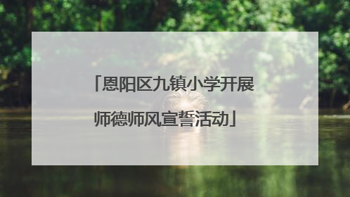 恩阳区九镇小学开展师德师风宣誓活动