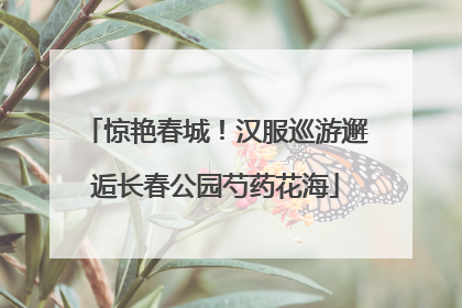 惊艳春城！汉服巡游邂逅长春公园芍药花海