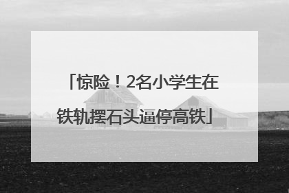 惊险！2名小学生在铁轨摆石头逼停高铁