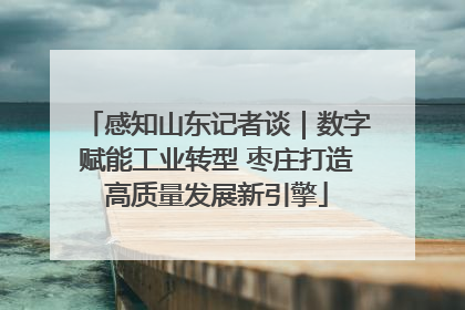 感知山东记者谈｜数字赋能工业转型 枣庄打造高质量发展新引擎