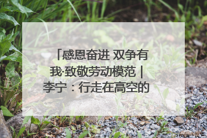 感恩奋进 双争有我·致敬劳动模范｜李宁：行走在高空的“电网卫士”