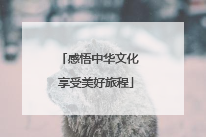 感悟中华文化 享受美好旅程