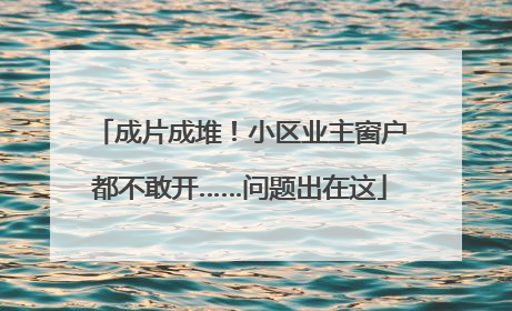 成片成堆！小区业主窗户都不敢开……问题出在这