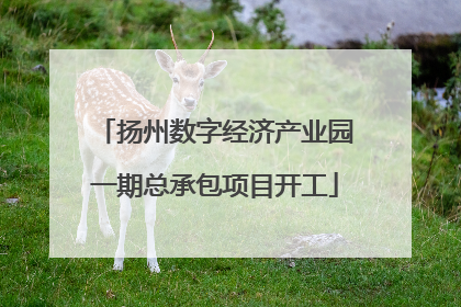 扬州数字经济产业园一期总承包项目开工