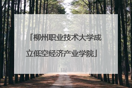 柳州职业技术大学成立低空经济产业学院