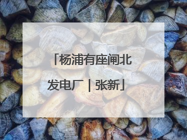 杨浦有座闸北发电厂｜张新