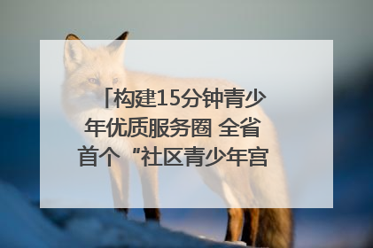 构建15分钟青少年优质服务圈 全省首个“社区青少年宫”落地成都成华区｜一老一小总关情