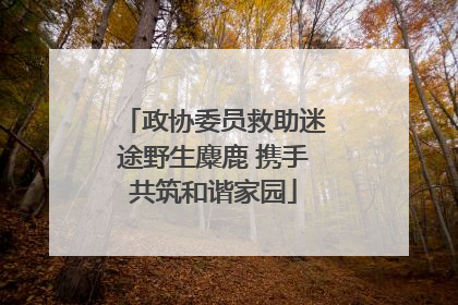 政协委员救助迷途野生麋鹿 携手共筑和谐家园
