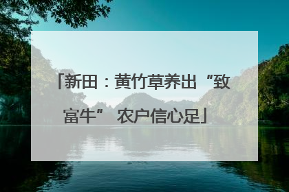 新田：黄竹草养出“致富牛” 农户信心足