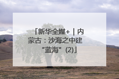 新华全媒+｜内蒙古：沙海之中建“蓝海”(2)