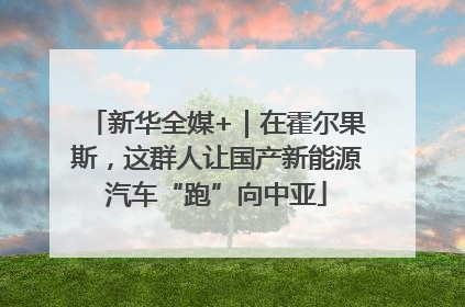 新华全媒+｜在霍尔果斯，这群人让国产新能源汽车“跑”向中亚