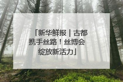新华鲜报｜古都携手丝路！丝博会绽放新活力