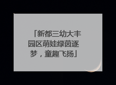 新都三幼大丰园区萌娃绿茵逐梦，童趣飞扬
