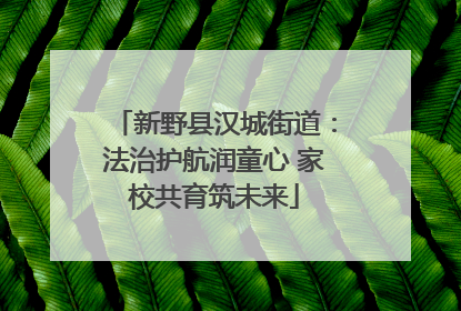 新野县汉城街道：法治护航润童心 家校共育筑未来