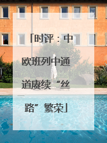 时评：中欧班列中通道赓续“丝路”繁荣