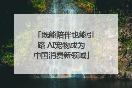 既能陪伴也能引路 AI宠物成为中国消费新领域