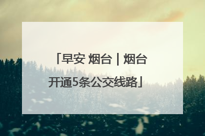 早安 烟台｜烟台开通5条公交线路
