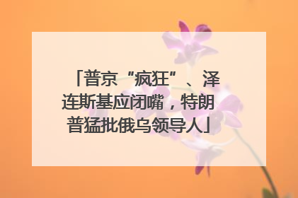 普京“疯狂”、泽连斯基应闭嘴，特朗普猛批俄乌领导人