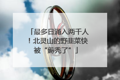 最多日涌入两千人！北灵山的野韭菜快被“薅秃了”