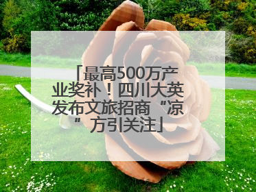 最高500万产业奖补！四川大英发布文旅招商“凉”方引关注