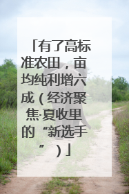有了高标准农田，亩均纯利增六成（经济聚焦·夏收里的“新选手”）