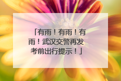 有雨！有雨！有雨！武汉交警再发考前出行提示！