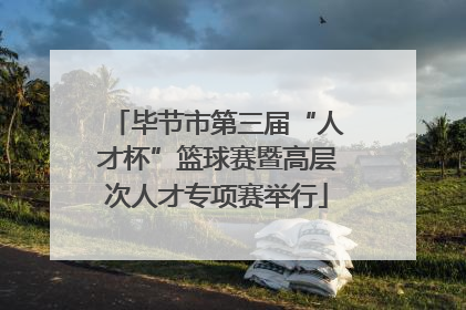 毕节市第三届“人才杯”篮球赛暨高层次人才专项赛举行