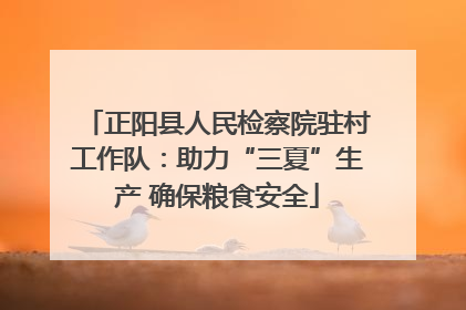正阳县人民检察院驻村工作队：助力“三夏”生产 确保粮食安全