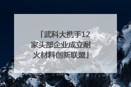 武科大携手12家头部企业成立耐火材料创新联盟