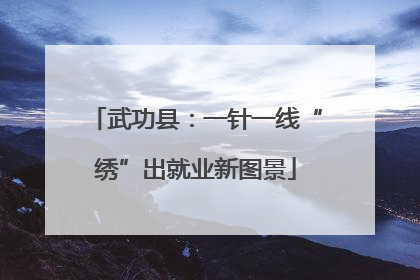 武功县：一针一线“绣”出就业新图景