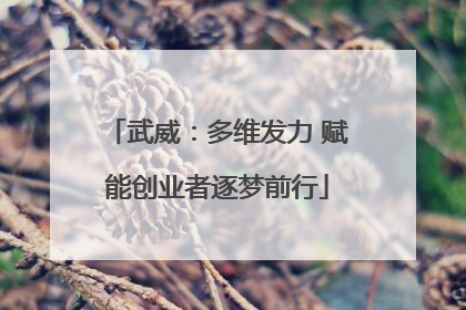 武威：多维发力 赋能创业者逐梦前行