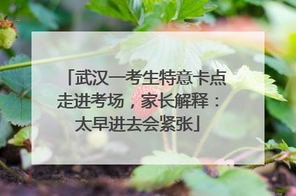 武汉一考生特意卡点走进考场，家长解释：太早进去会紧张