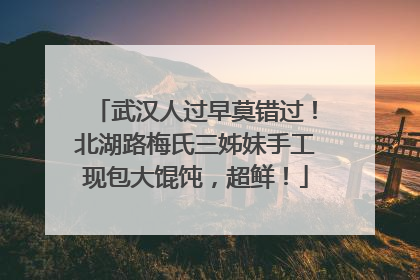 武汉人过早莫错过！北湖路梅氏三姊妹手工现包大馄饨，超鲜！