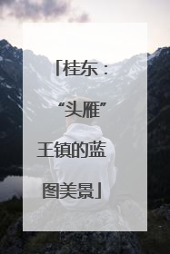 桂东：“头雁”王镇的蓝图美景