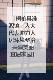 桐柏县淮源镇：人大代表助力人居环境整治 共建美丽宜居家园