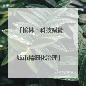 榆林：科技赋能城市精细化治理