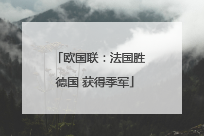 欧国联：法国胜德国 获得季军
