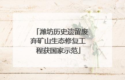 潍坊历史遗留废弃矿山生态修复工程获国家示范