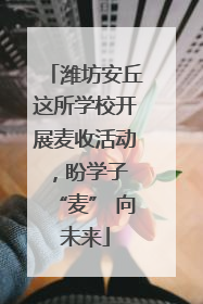 潍坊安丘这所学校开展麦收活动，盼学子 “麦” 向未来