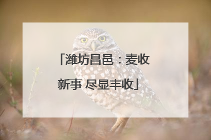 潍坊昌邑：麦收新事 尽显丰收