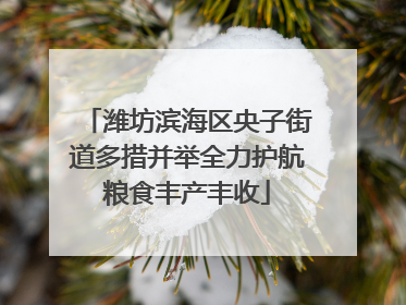潍坊滨海区央子街道多措并举全力护航粮食丰产丰收