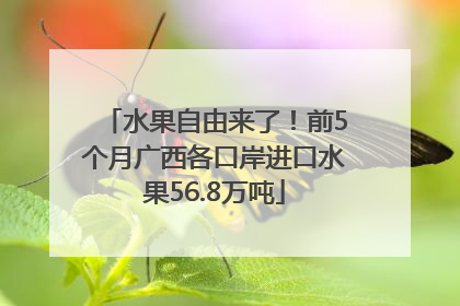 水果自由来了！前5个月广西各口岸进口水果56.8万吨