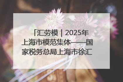 汇劳模｜2025年上海市模范集体——国家税务总局上海市徐汇区税务局第一税务所